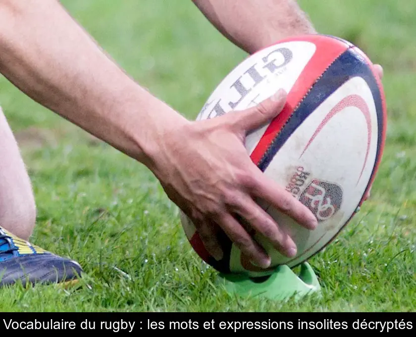 Vocabulaire du rugby : les mots et expressions insolites décryptés