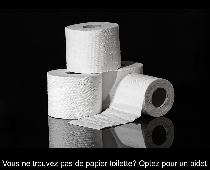 Vous ne trouvez pas de papier toilette? Optez pour un bidet Vous ne trouvez pas de papier toilette? Optez pour un bidet