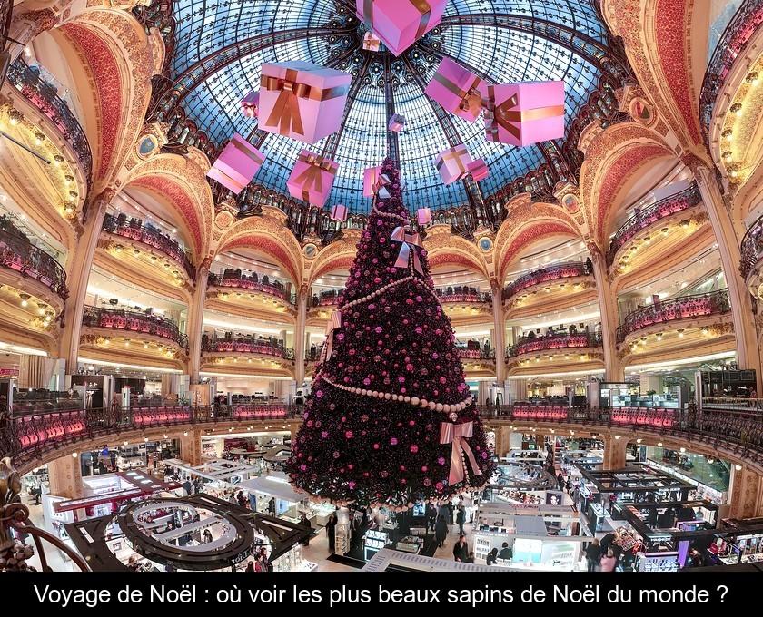 Voyage de Noël : où voir les plus beaux sapins de Noël du monde ?