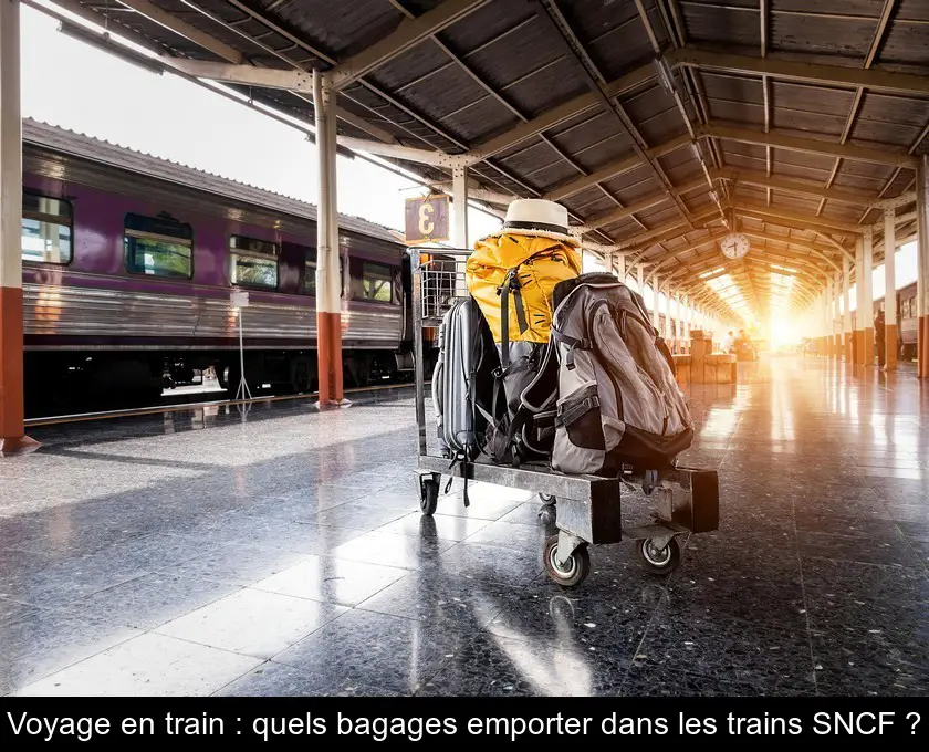 Voyage en train : quels bagages emporter dans les trains SNCF ?