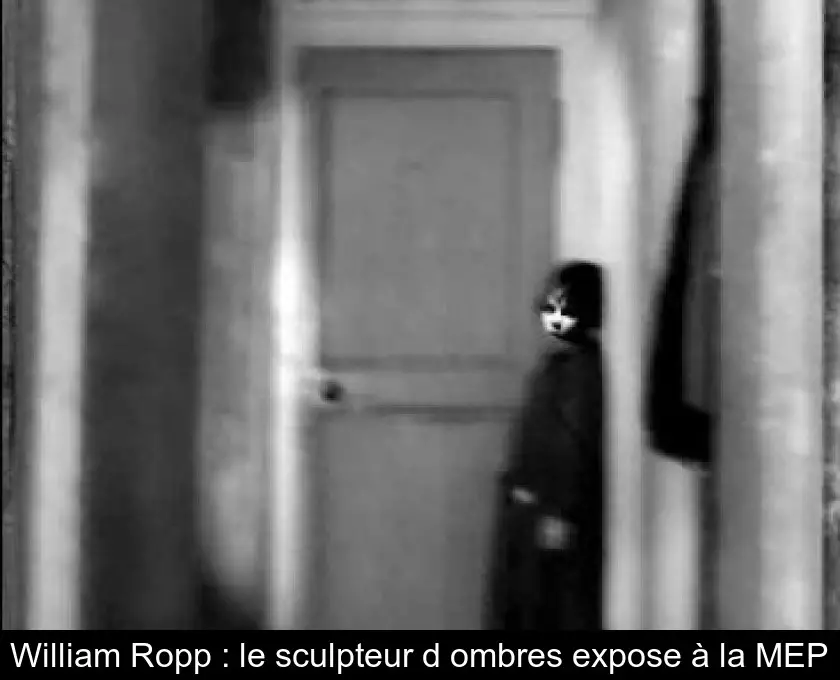 William Ropp : le sculpteur d'ombres expose à la MEP
