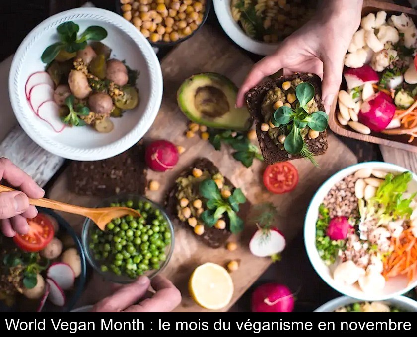 World Vegan Month : le mois du véganisme en novembre World Vegan Month : le mois du véganisme en novembre