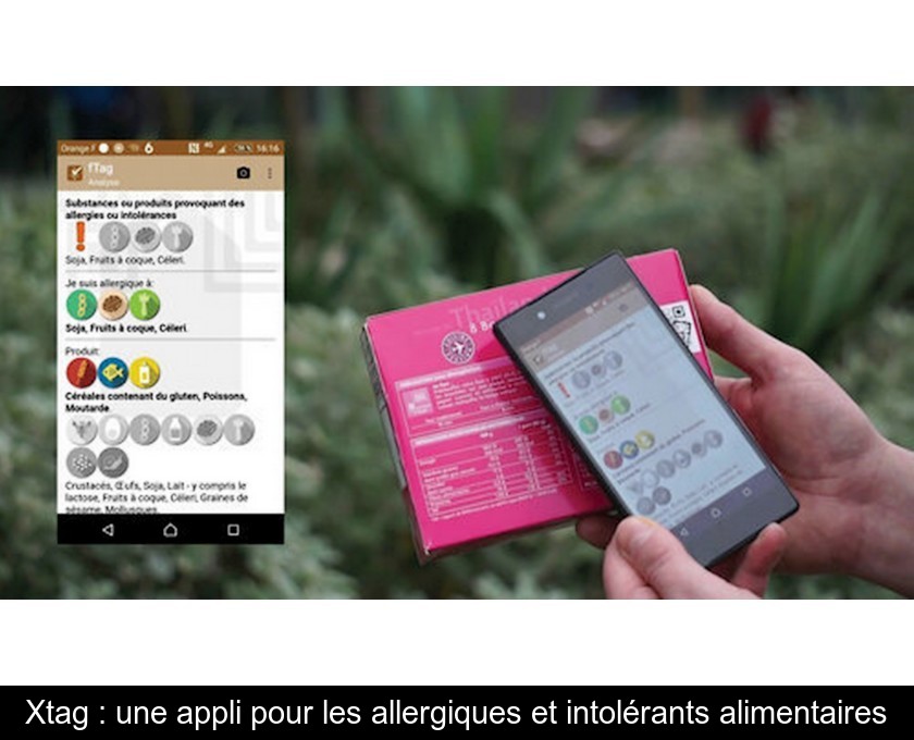 Xtag : une appli pour les allergiques et intolérants alimentaires Xtag : une appli pour les allergiques et intolérants alimentaires