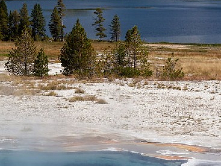Yellowstone : un magnifique parc national Yellowstone : un magnifique parc national