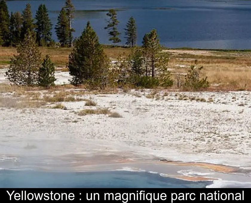 Yellowstone : un magnifique parc national