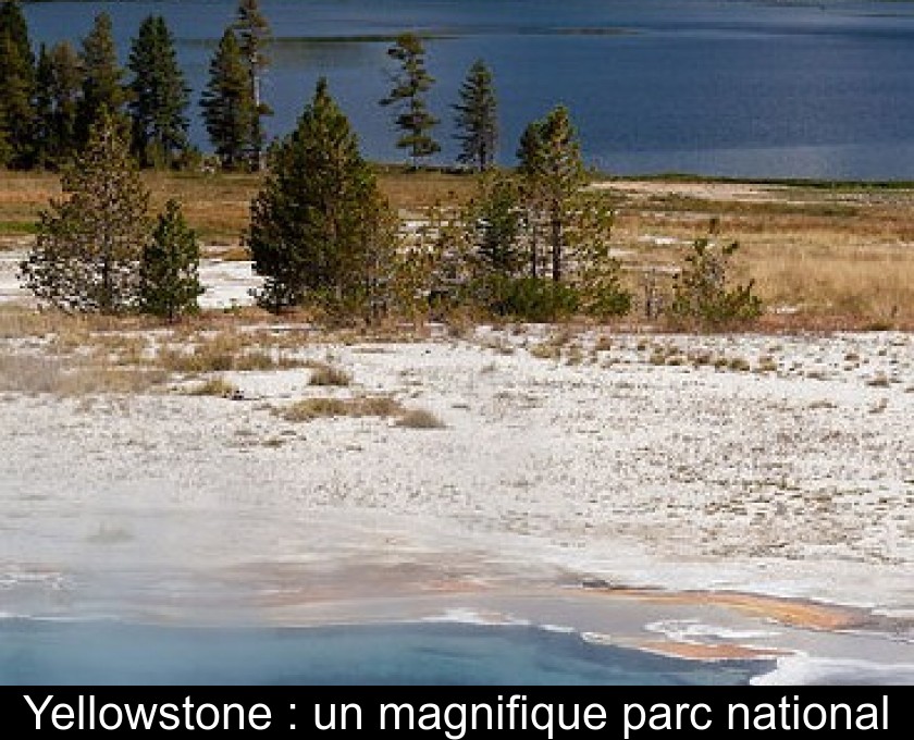 Yellowstone : un magnifique parc national Yellowstone : un magnifique parc national