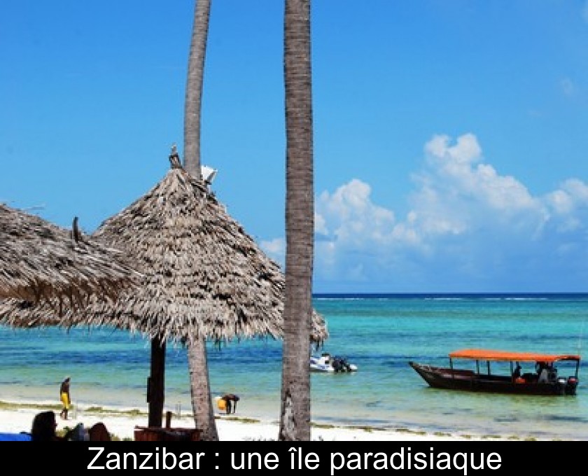 Zanzibar : une île paradisiaque Zanzibar : une île paradisiaque
