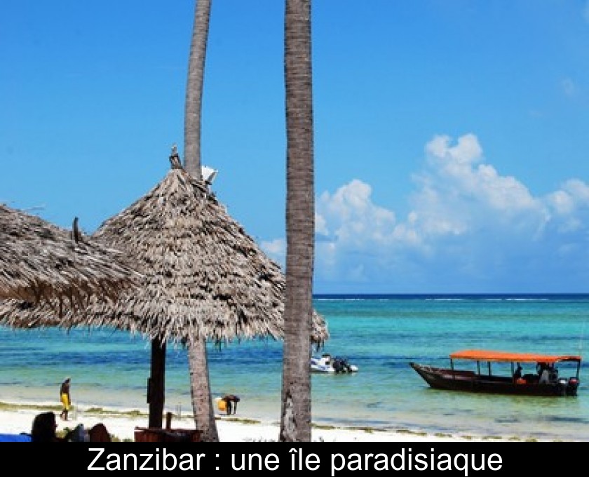 Zanzibar : une île paradisiaque