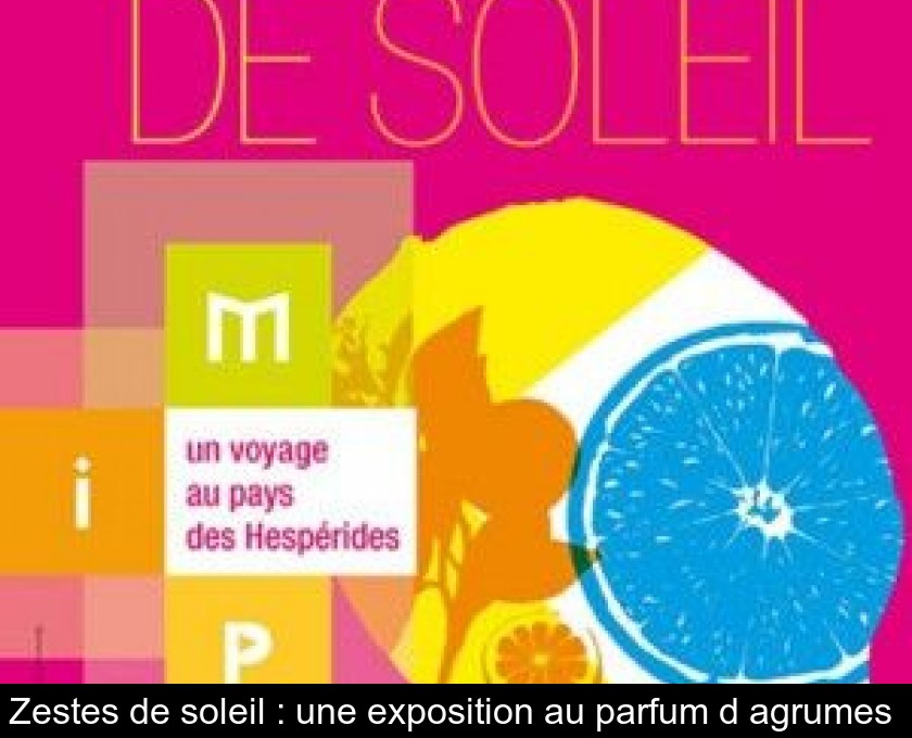 Zestes de soleil : une exposition au parfum d'agrumes 