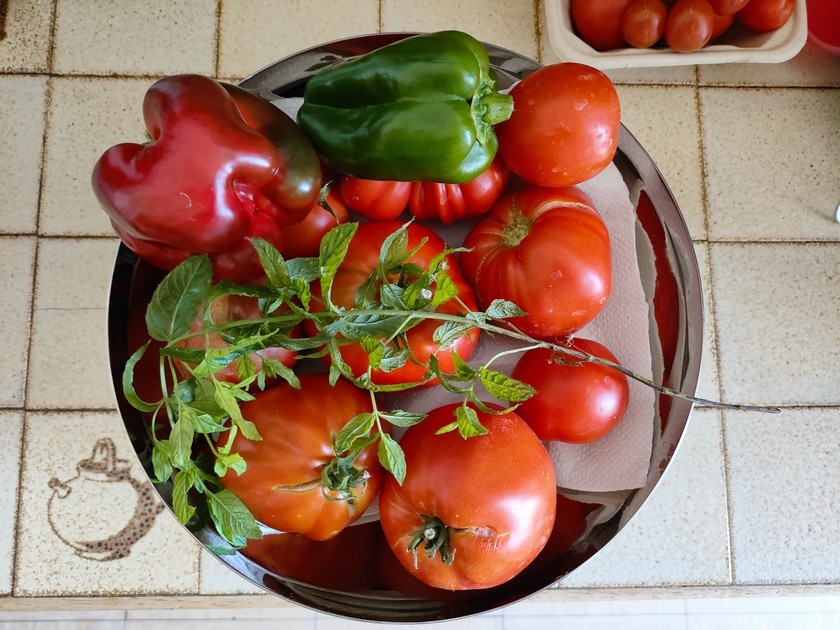 tomates, poivrons verts et rouges et brins de menthe
