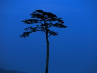 2 ans après : des photos de presse à la Maison de la Culture du Japon