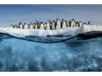 2021, l'été polaire : une saison culturelle partout en France