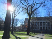 3 choses à savoir sur le flare en photographie