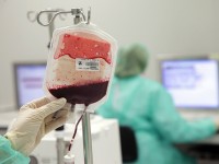 3 idées reçues sur le don de moelle osseuse