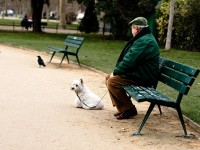 4 conseils pour éduquer son chien en ville