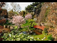 5 astuces pour découvrir le Japon sans quitter Paris