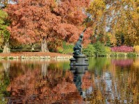 5 bonnes raisons d'aller à Londres en automne