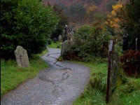 5 bonnes raisons de fêter Halloween en Irlande