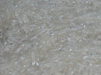 5 choses à savoir sur la poutine de Nice