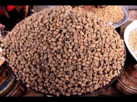 5 choses à savoir sur le souchet