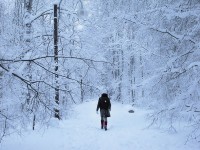 5 conseils pour photographier l'hiver