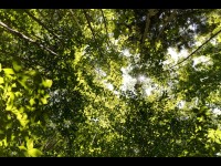 5 conservateurs historiques que vous devez connaître