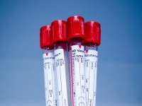 5 vérités sur les groupes sanguins