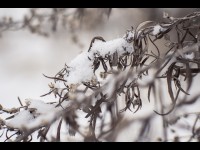 6 façons de lutter contre le blues de l'hiver