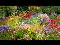 8 étapes vers le non-jardinage