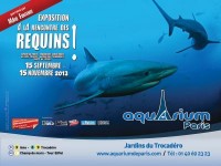A la rencontre des requins : une exposition instructive à Paris