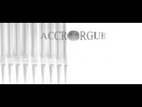 Accrorgue : une association niçoise pour la préservation des orgues