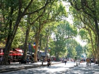 Aix-en-Provence : 5 choses à savoir sur cette ville d'Art et d'Histoire