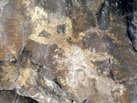 Alpes-Maritimes : des peintures rupestres du Néolithique découvertes à Valdeblore