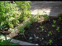 Aménager un jardin pour les enfants