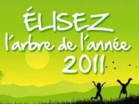 Année internationale de la forêt : élisez l'arbre de l'année !