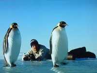 Antarctica : une exposition immersive au Musée des Confluences à Lyon