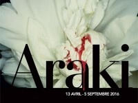 Araki : une exposition sulfureuse et sensuelle au Musée Guimet