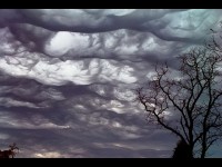 Asperatus, fluctus, cauda, volutus : découvrez 4 nuages spectaculaires
