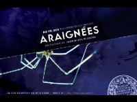 Au fil des araignées : une exposition au Muséum National d'Histoire Naturelle