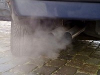 Augmentation des allergies : les causes du phénomène