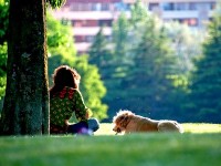 Avoir un job dès le lycée : guide pratique
