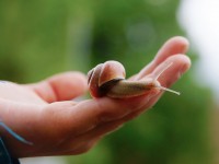Beauté : 5 cosmétiques aux ingrédients insolites
