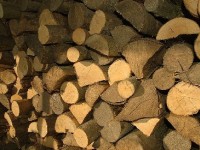 Bois de chauffage : lequel choisir ?