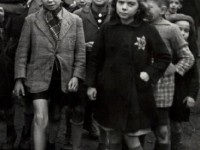 C'étaient des enfants : une exposition édifiante à l'Hôtel de Ville