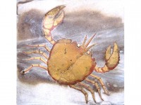 Cancer : son profil astrologique