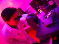 Cancer du sein : Orgapred vise à améliorer l'efficacité des traitements