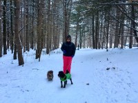Cani-raquettes et cani-rando : des sports d'hiver qui ont du chien