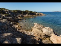 Canicule marine : la mer Méditerranée bat des records de température