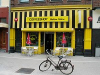 Cannabis : les coffee shops en France en 5 questions