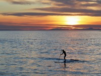 Cannes décroche le label Ville de surf